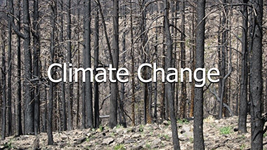 climate change